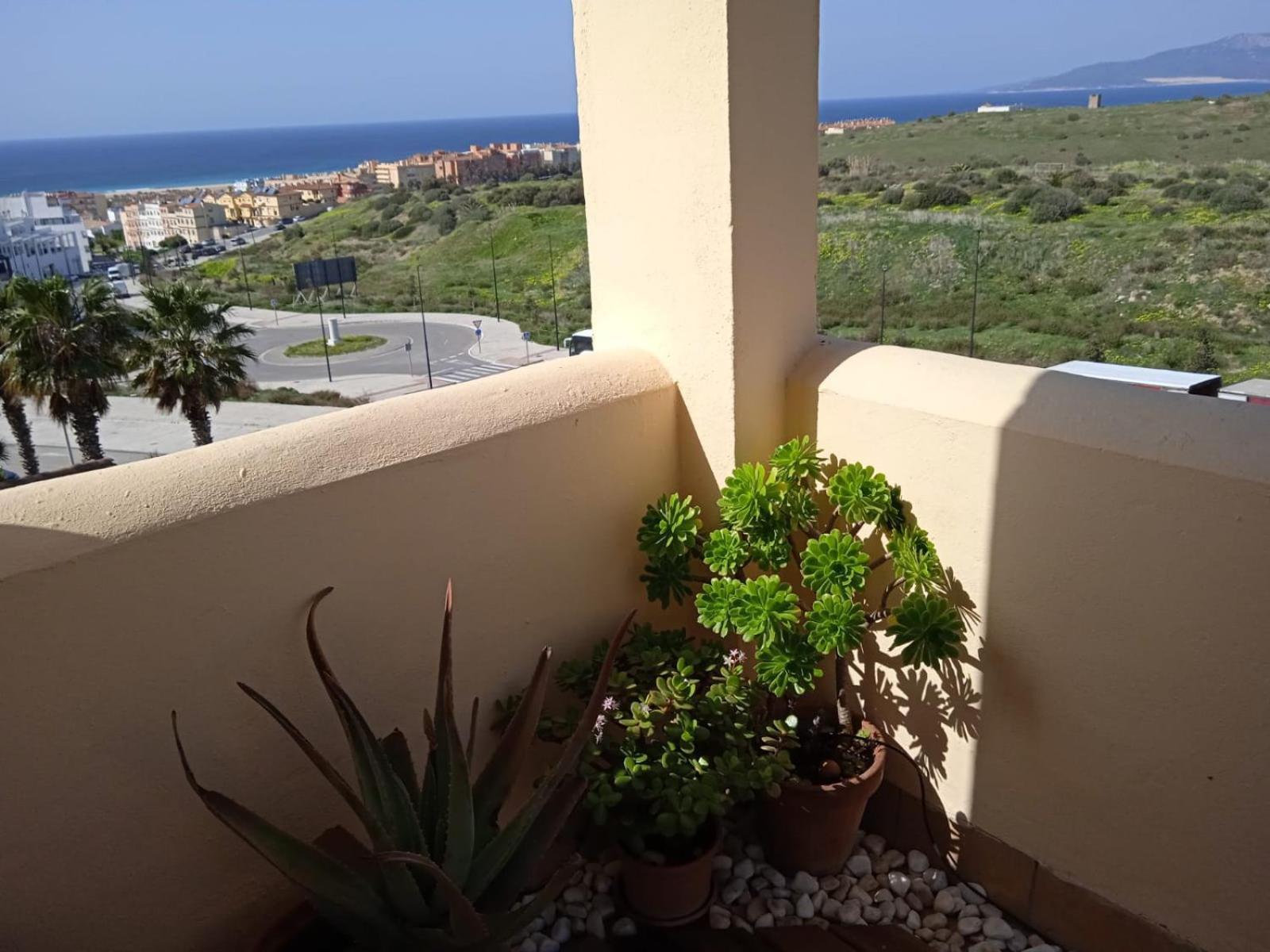 Livingtarifa Apartamento Nano المظهر الخارجي الصورة